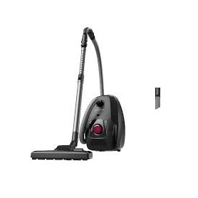 Aspirateur ROWENTA RO4933EA